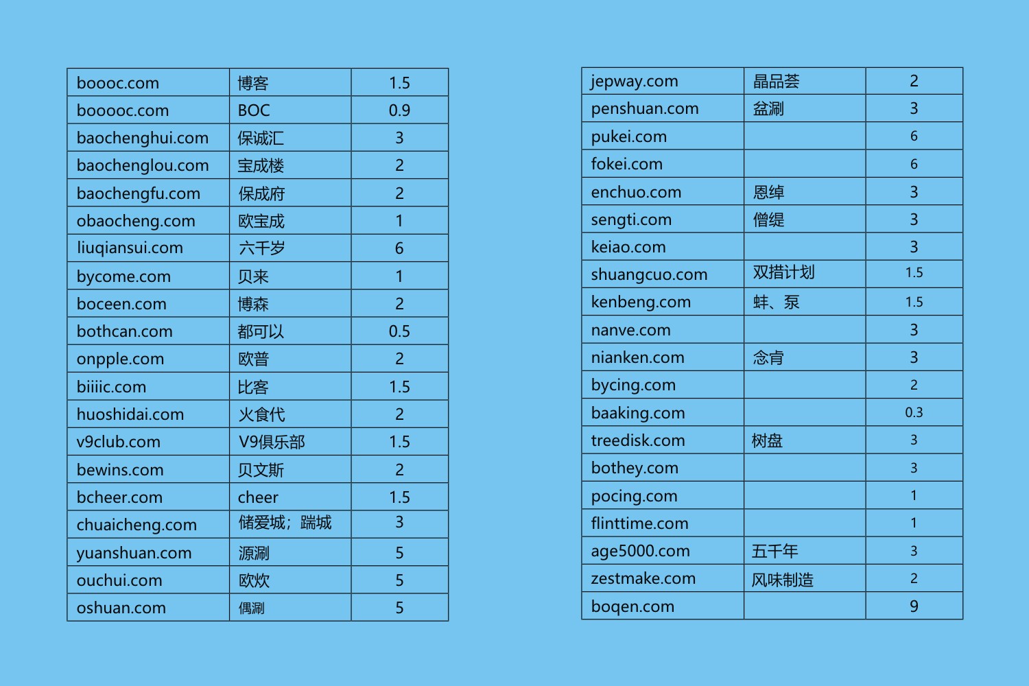 保成®商业策划